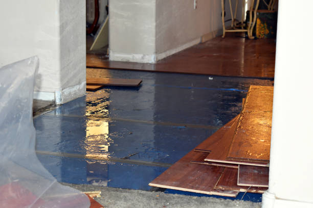 Professional Burst Pipe Cleanup technician working in Masterson, TX